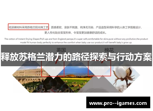 释放苏格兰潜力的路径探索与行动方案