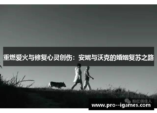 重燃爱火与修复心灵创伤：安妮与沃克的婚姻复苏之路