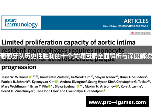 葡萄牙队历史性胜利的十个关键因素全面解析与深度解读